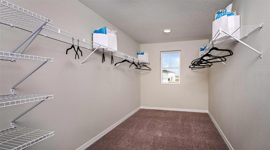 Model Home/Virtually Staged
