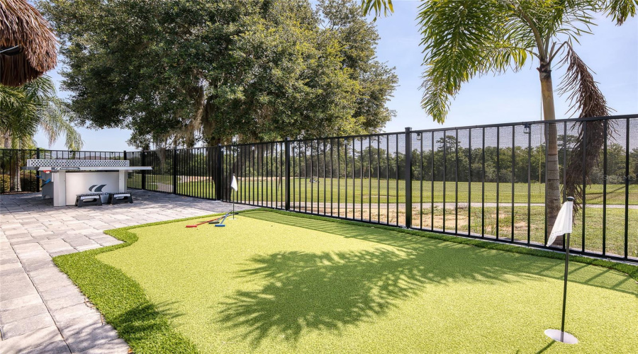 Backyard View