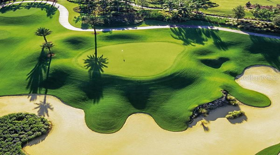 Golf Course View