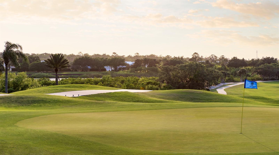 Golf Course View