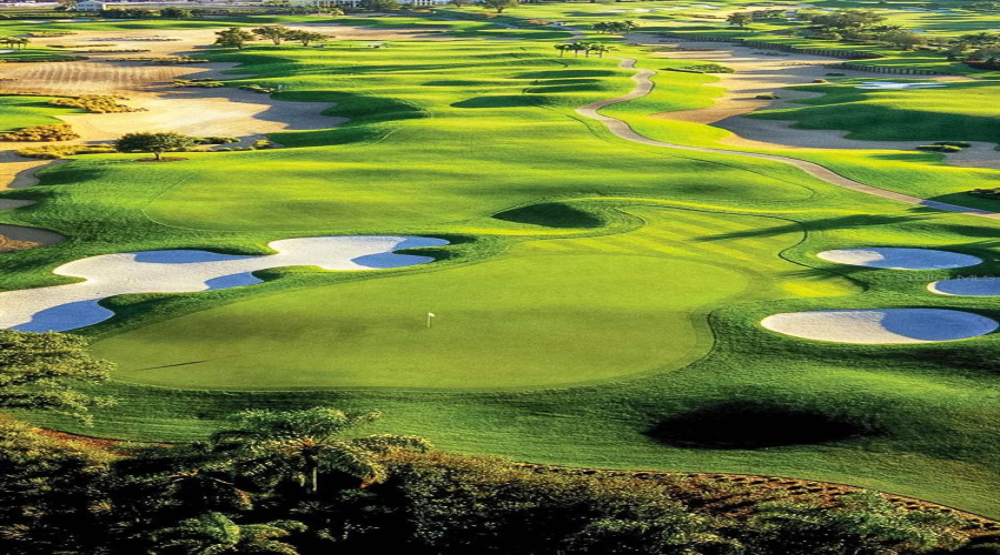 Golf Course View