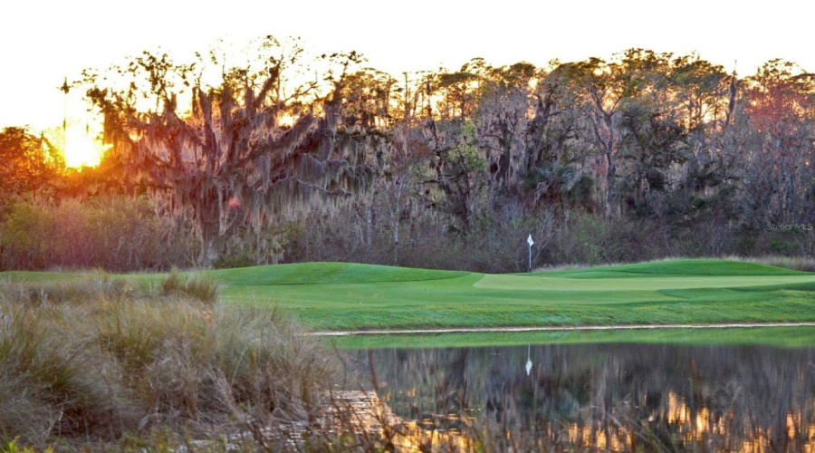 Award-Winning Celebration Golf Course