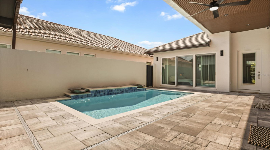 Courtyard Pool