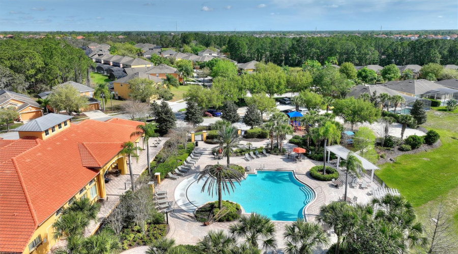 Resort Pool Area