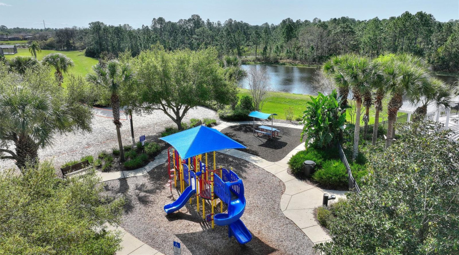 Play Area
