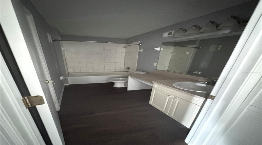 In-Law Suite Bathroom
