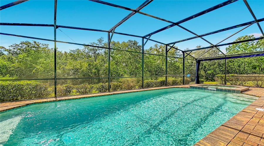 Kissimmee, Florida 34747, 8 Bedroom Bedrooms, ,6 Bathroombathrooms,Residential,For Sale,Qin,0,Mfro6443266