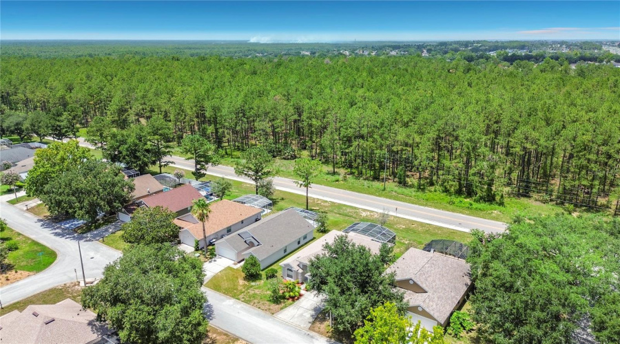 Davenport, Florida 33897, 3 Bedroom Bedrooms, ,2 Bathroombathrooms,Residential,For Sale,Pine Cone,0,Mfrs5153676