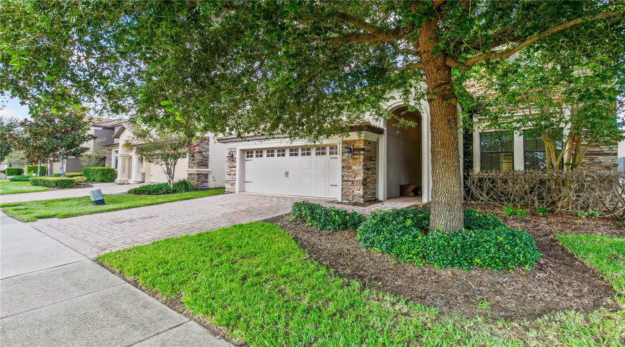 Davenport, Florida 33896, 6 Bedroom Bedrooms, ,6 Bathroombathrooms,Residential,For Sale,Wedge,0,Mfro6444011