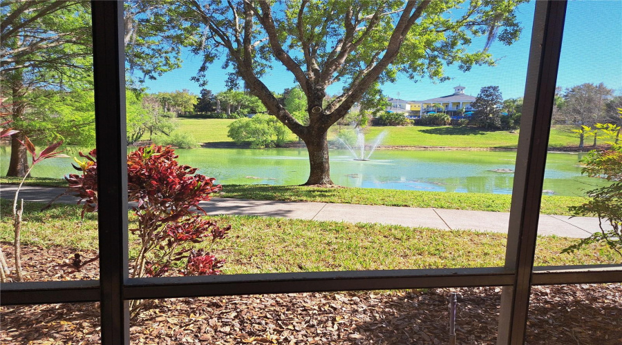 Water Front Unit
