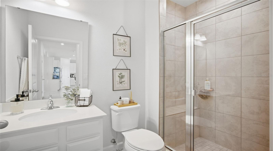 Down Stairs Bathroom
