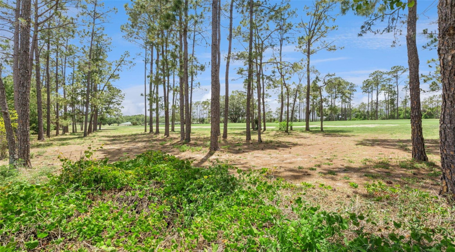 Davenport, Florida 33897, 5 Bedroom Bedrooms, ,3 Bathroombathrooms,Residential,For Sale,Northampton,0,Mfrs5150621