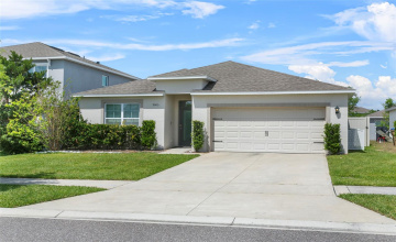 Property Search