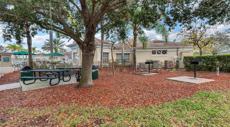 Bbq And Picnic Area