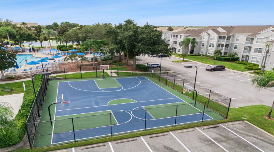 Basketball Court