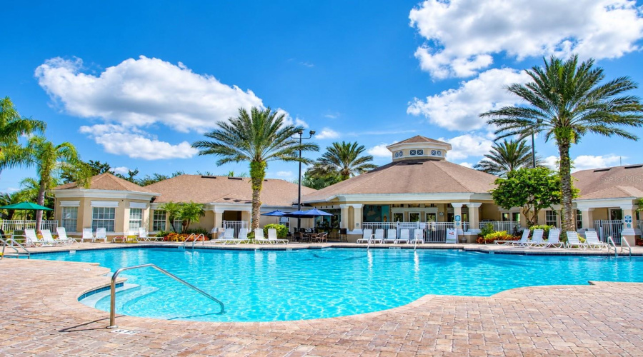 Resort Style Pool
