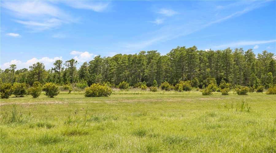 Davenport, Florida 33837, 4 Bedroom Bedrooms, ,2 Bathroombathrooms,Residential,For Sale,Rolling Ridge Bend,0,Mfro6445035