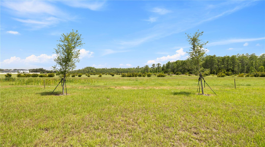 Davenport, Florida 33837, 4 Bedroom Bedrooms, ,2 Bathroombathrooms,Residential,For Sale,Rolling Ridge Bend,0,Mfro6445035