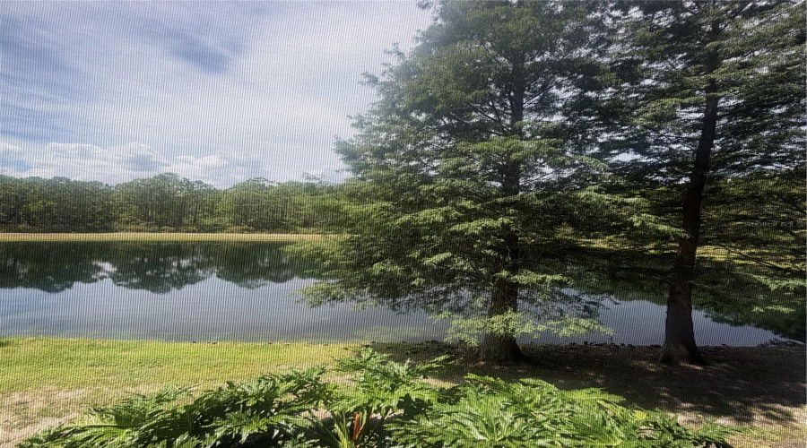 Kissimmee, Florida 34747, 3 Bedroom Bedrooms, ,2 Bathroombathrooms,Residential,For Sale,Treasure Trove,0,Mfro6446389