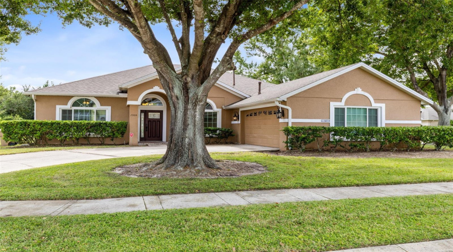 Kissimmee, Florida 34747, 5 Bedroom Bedrooms, ,3 Bathroombathrooms,Residential,For Sale,Plum Blossom,0,Mfro6445852