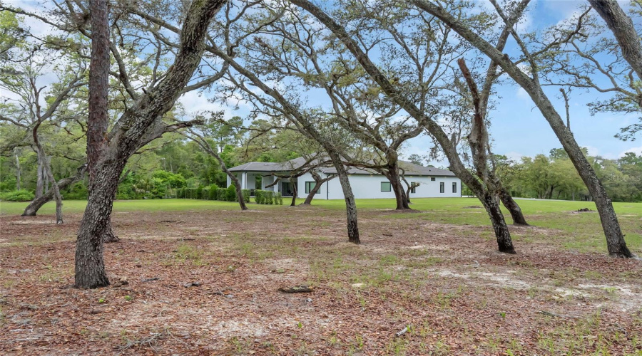 Kissimmee, Florida 34747, 4 Bedroom Bedrooms, ,3 Bathroombathrooms,Residential,For Sale,Happy,0,Mfro6396464