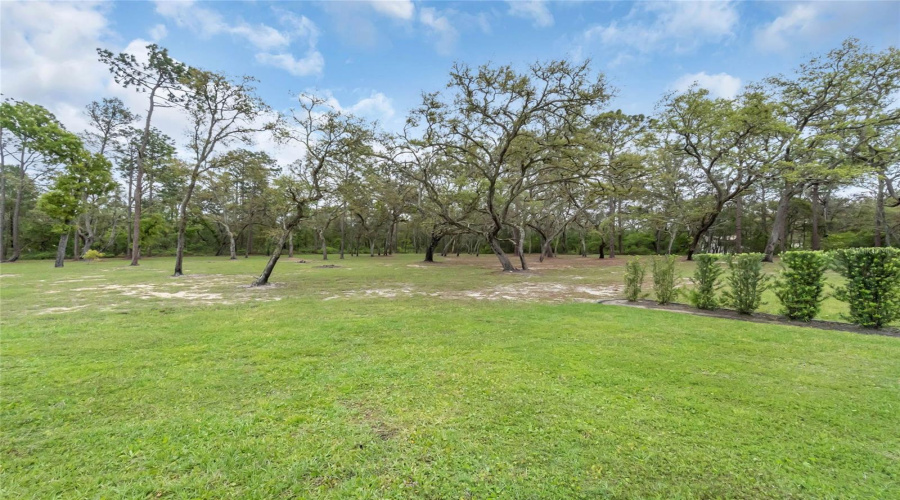 Kissimmee, Florida 34747, 4 Bedroom Bedrooms, ,3 Bathroombathrooms,Residential,For Sale,Happy,0,Mfro6396464