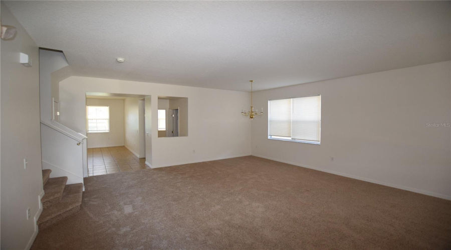 Living / Dining