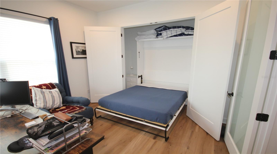 Built-In Queen Murphy Bed