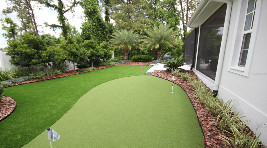 Artificial Turf