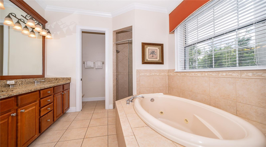 Primary Bath Downstairs
