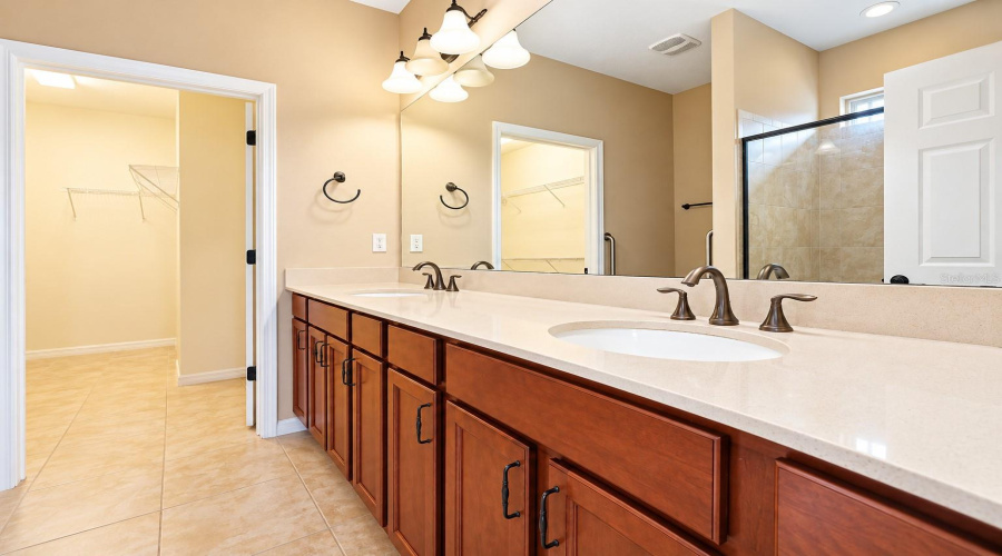 Dual Sinks In Primary