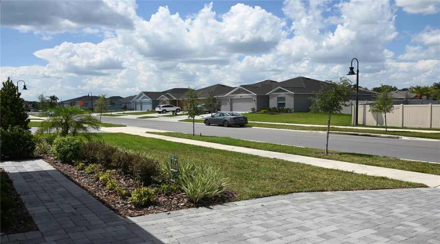 View Of The Neighborhood
