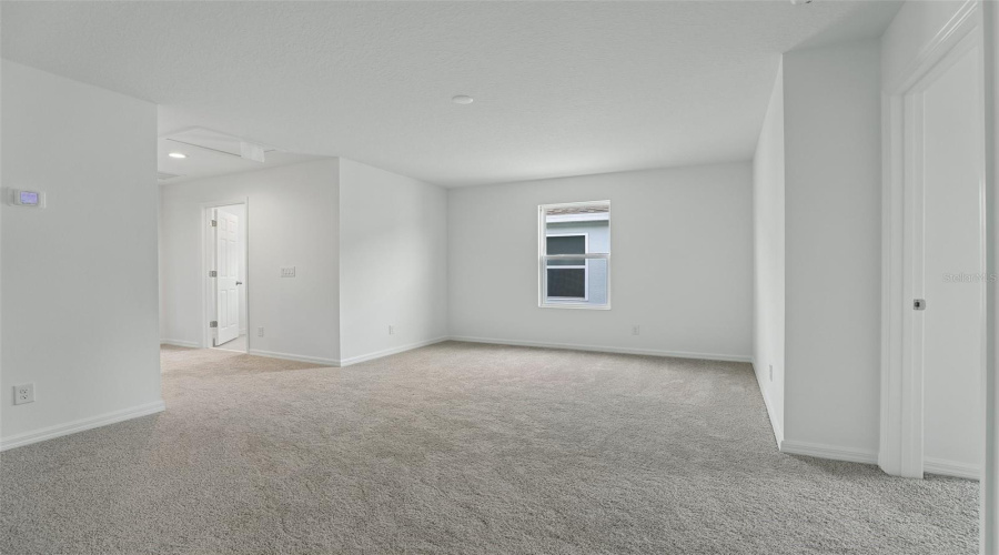 Bonus Room / Loft