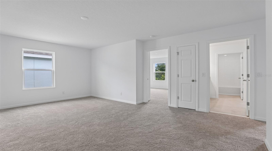 Bonus Room / Loft