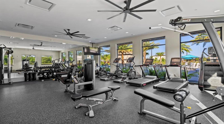 Orlando, Florida 32821, 9 Bedroom Bedrooms, ,9 Bathroombathrooms,Residential,For Sale,High Seas,0,Mfrs5155649