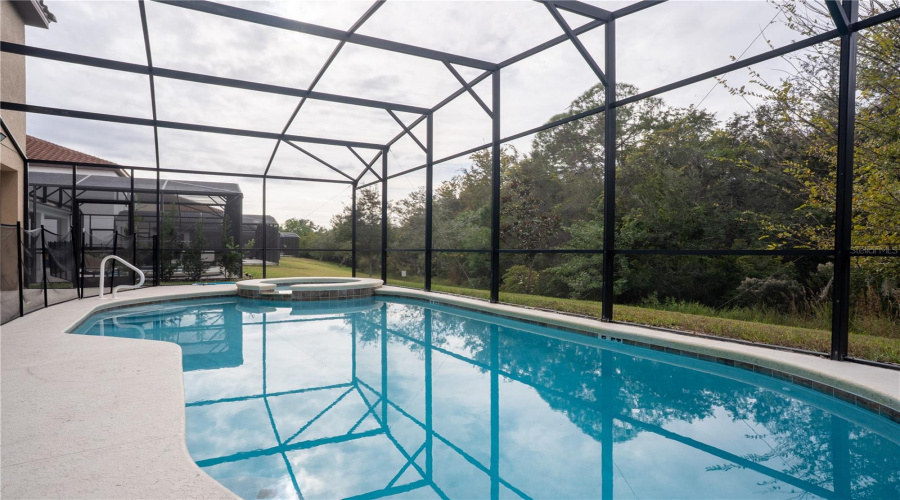 Pool With Conservation View