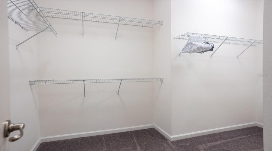 Wake In Suite'S Closet