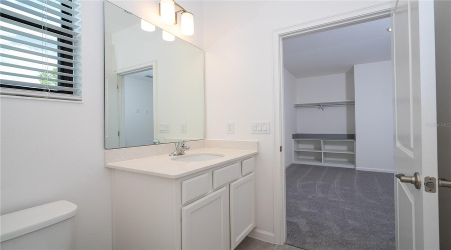Orlando, Florida 32821, 12 Bedroom Bedrooms, ,11 Bathroombathrooms,Residential,For Sale,High Seas,0,Mfrs5143252