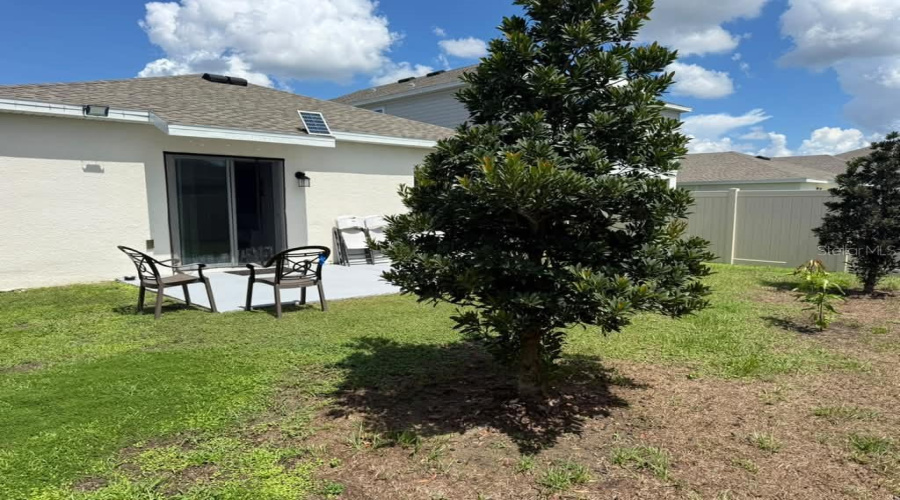 Back Yard