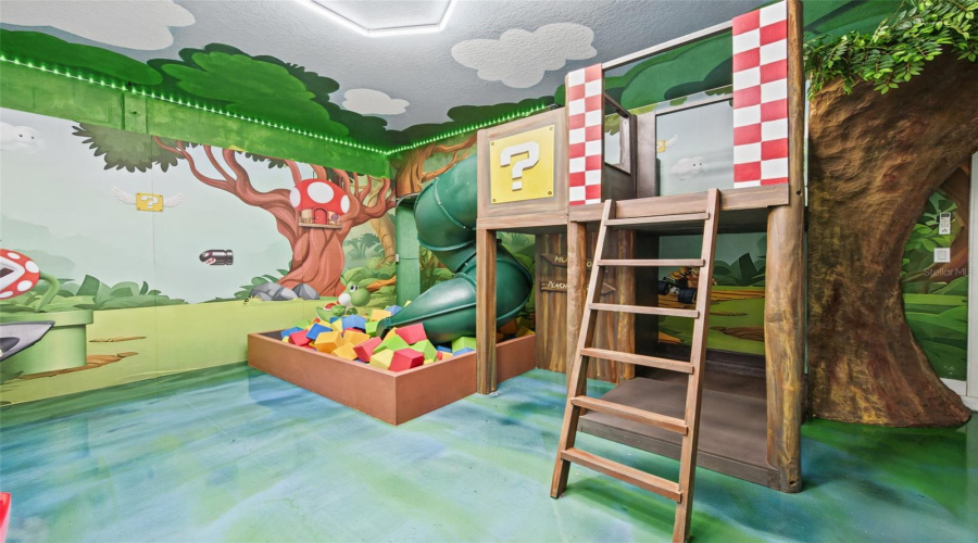 Game Room Play Structure